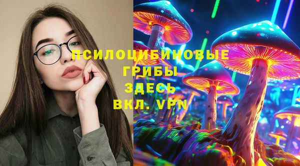 сатива Абинск
