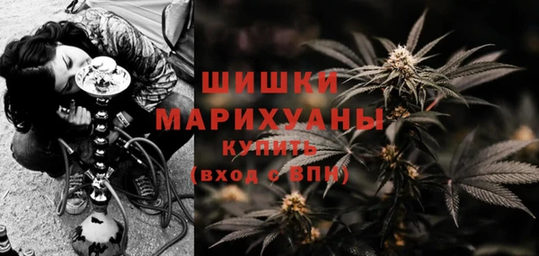 сатива Абинск